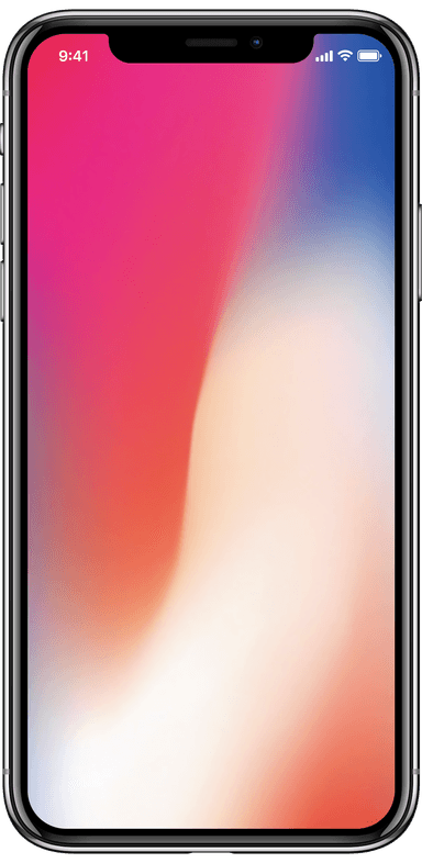 iPhone X